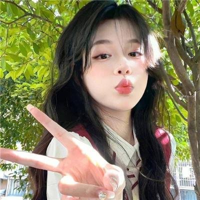 汪喵物语